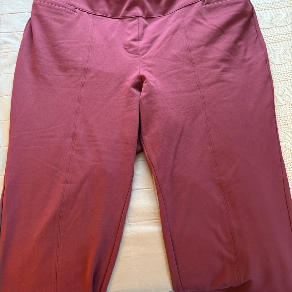 Lane Bryant Eggplant Pants Petite Length - 24P